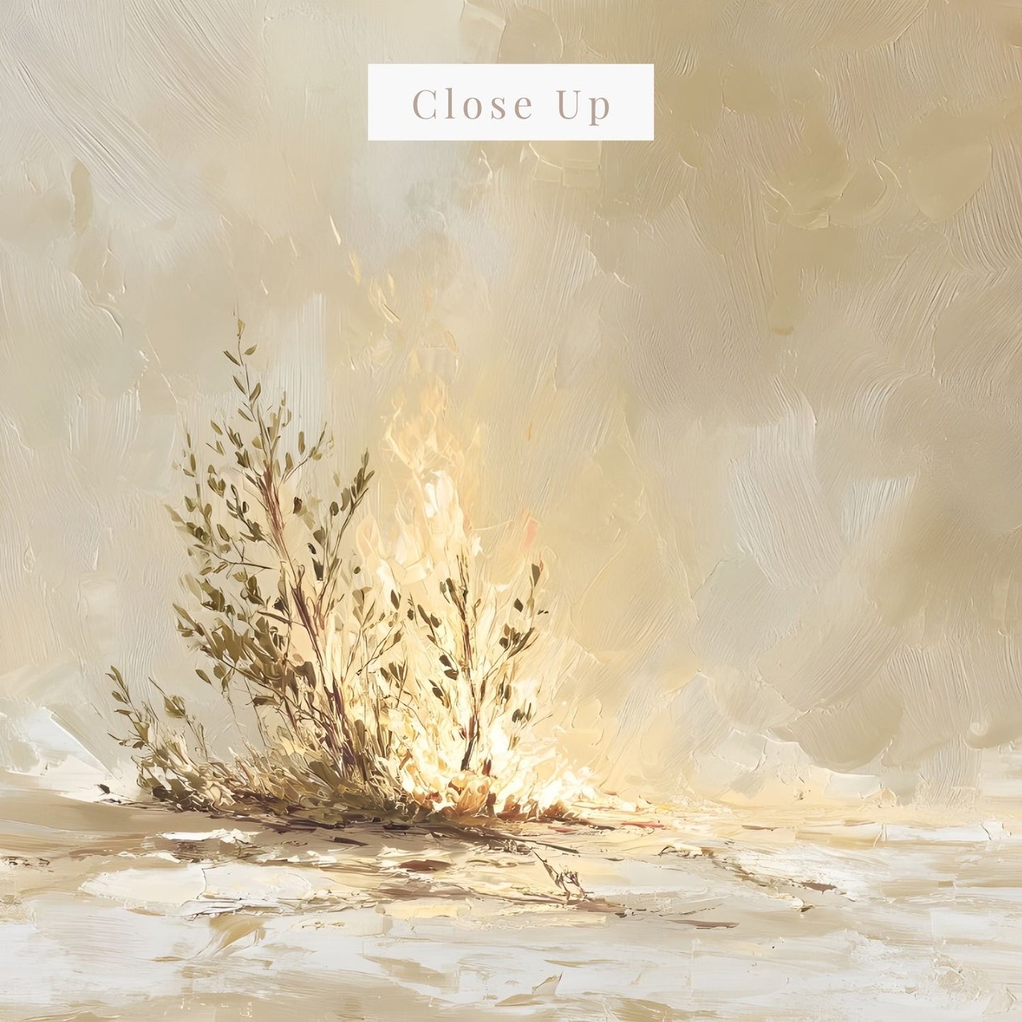 Holy Ground | Canvas