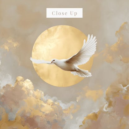 Peace Descends | Canvas