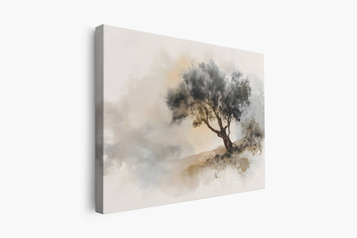 Olive Tree of Peace | Canvas